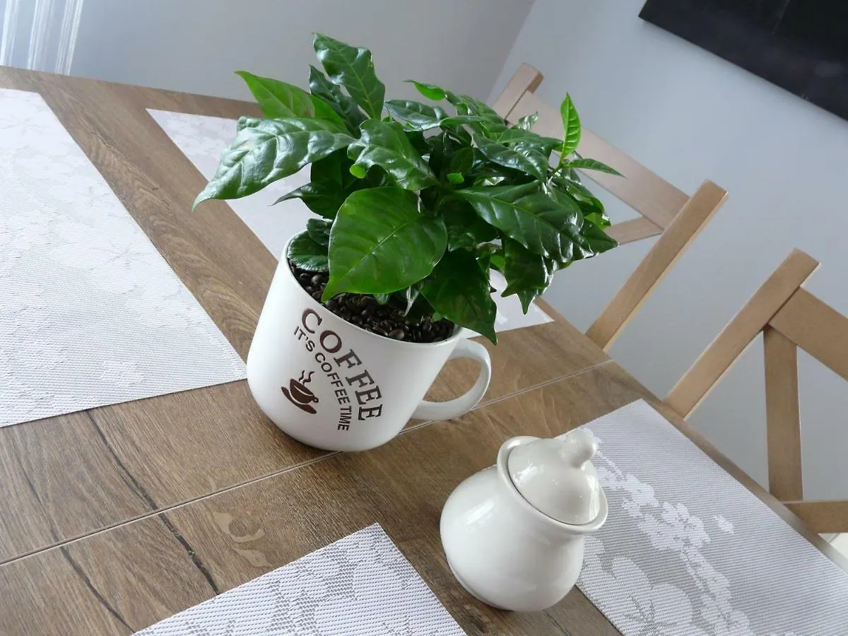 Apartamenty U Piatkow Karpacz Apartment